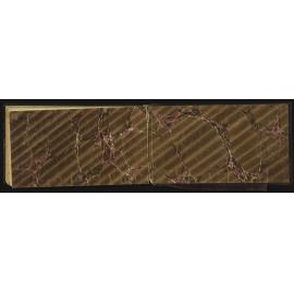 WN_0812-0064