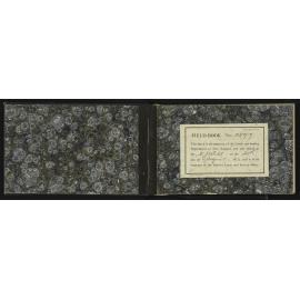 NA_3597-002