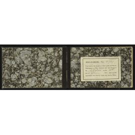 NA_3737-002
