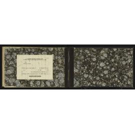 NA_3779-036