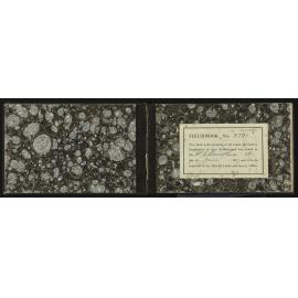 NA_3791-002