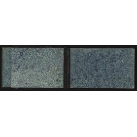 GS_0309-002
