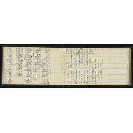 GS_0408-010