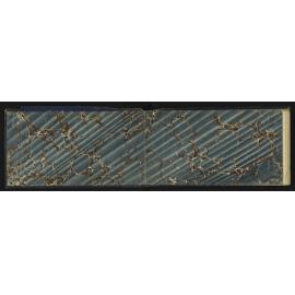 WN_0430-0002