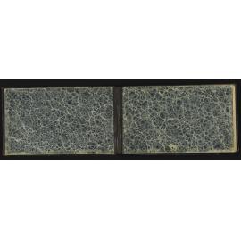 TN_0348-0002