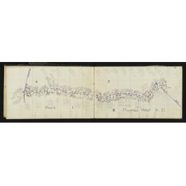 TN_0489-0016