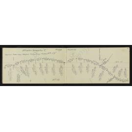 TN_0676-0010