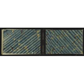 TN_0894-0064