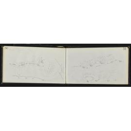 WN_0965-0022