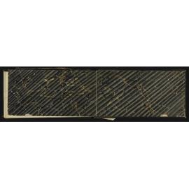 WN_0976-0015