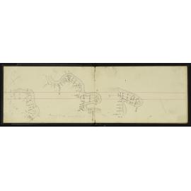 WN_1234-0007