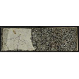 WN_1236-0002