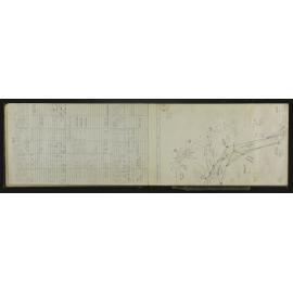 NA_5457-020