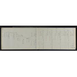 WN_3917-0041