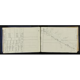 WN_4123-0012