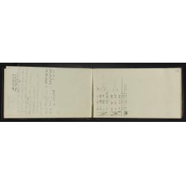 WN_4346-0009