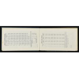 WN_4506-0009