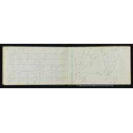 WN_4506-0037