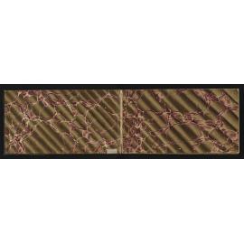 WN_1547-0002
