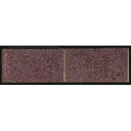 WN_1635-0002