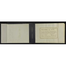 TN_1058-0002