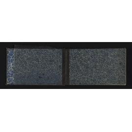 WN_1602-0002