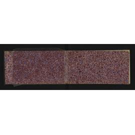 WN_1664-0002