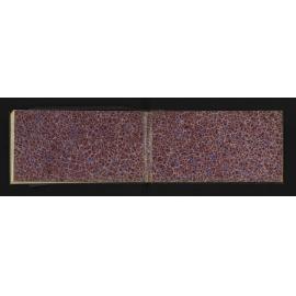 WN_1664-0007