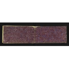 WN_1667-0034