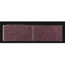 WN_1676-0028
