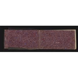 WN_1677-0002