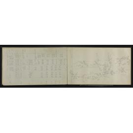 TN_1231-0021