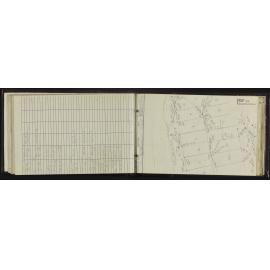 TN_1245-0036
