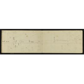 TN_1295-0021