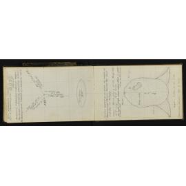 NAP_Unnumbered_C-047