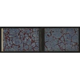 WN_1858-0024