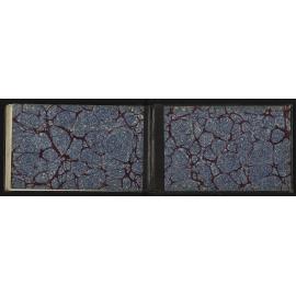 WN_2039-0061