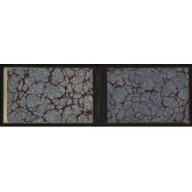 WN_2102-0061