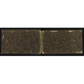 WN_2103-0002