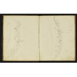 WN_0173-0005