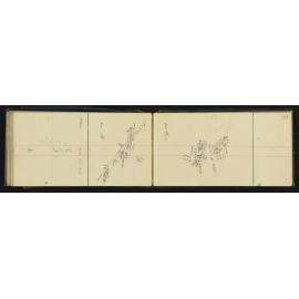 WN_0539-0044