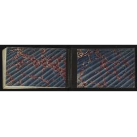 WN_1892-0061