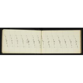 WN_1894-0009