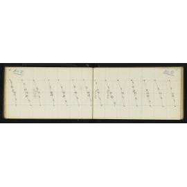 WN_1894-0029