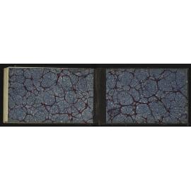 WN_2059-0061
