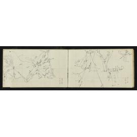 WN_2052-0010