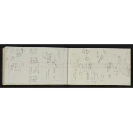 WN_2196-0036
