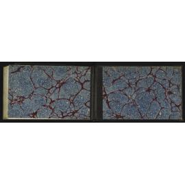 WN_2207-0062