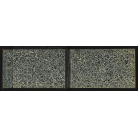 WN_2233-0002