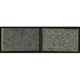 WN_2233-0021